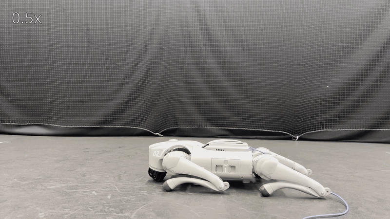 Whole-Body Control for Humanoid & Legged Robots