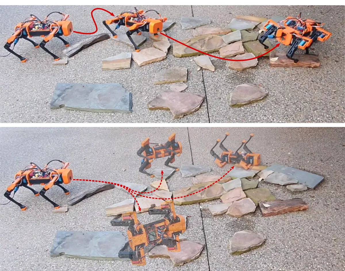 Dynamics and Domain Randomized Gait Modulation with Bezier Curves for Sim-to-Real Legged Locomotion