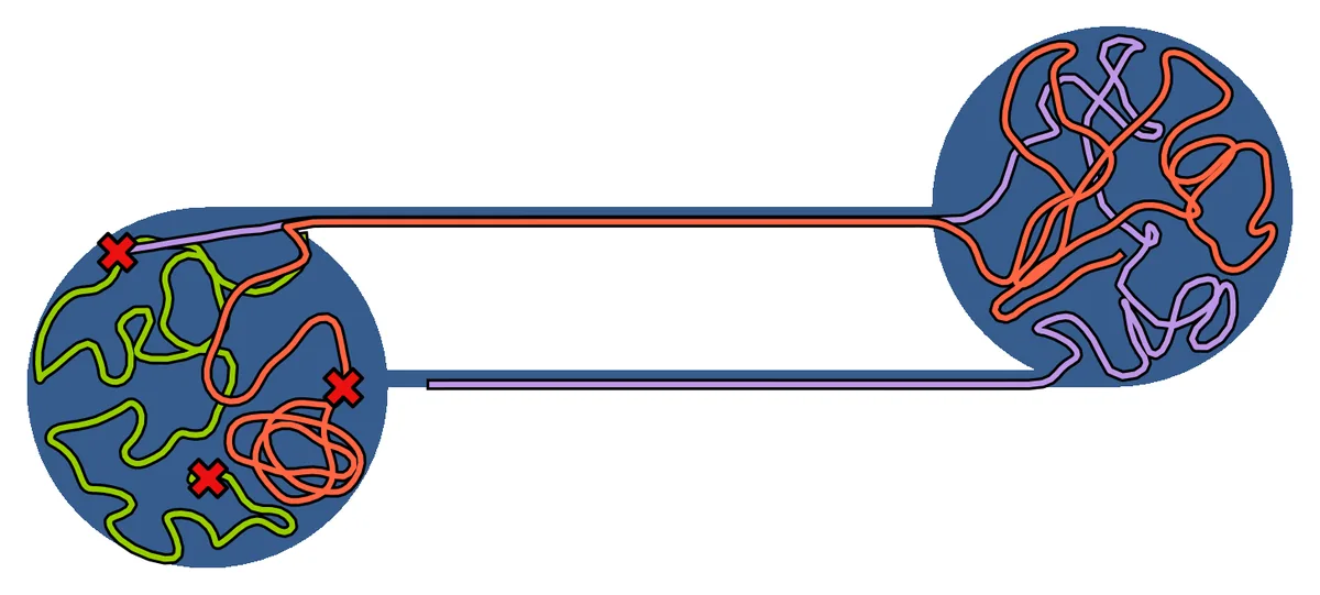 Measure Preserving Flows for Ergodic Search in Convoluted Environments